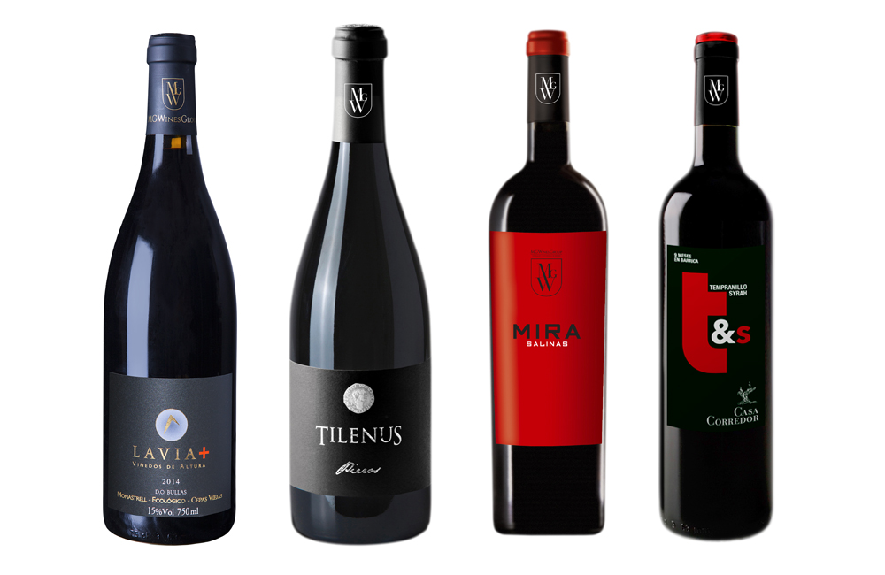 mgwines bodegas luxury spain gourmet