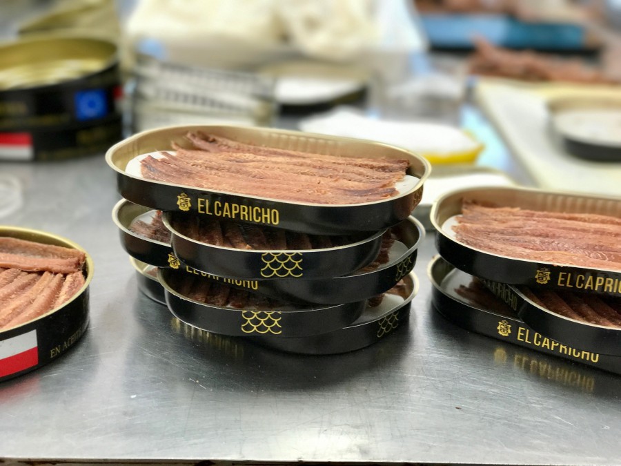 filetes anchoa de cantabria luxury spain