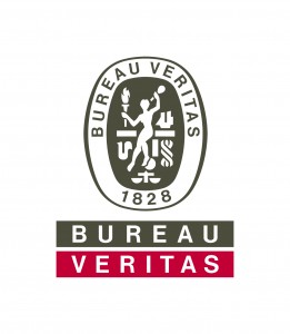 Logo_bv